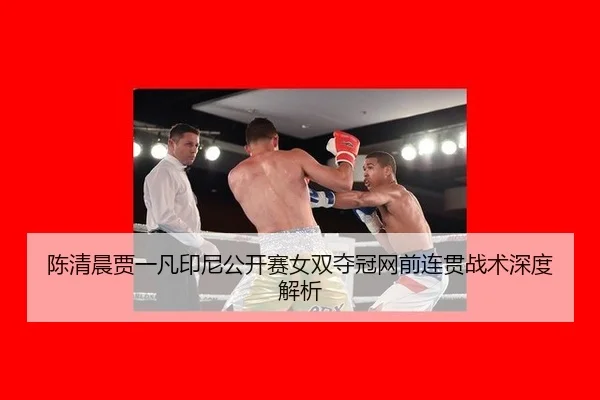 陈清晨贾一凡印尼公开赛女双夺冠网前连贯战术深度解析